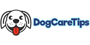 Dog Care Tip