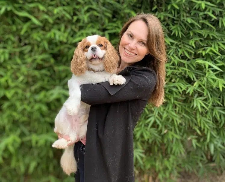 Caring for a King Charles Spaniel