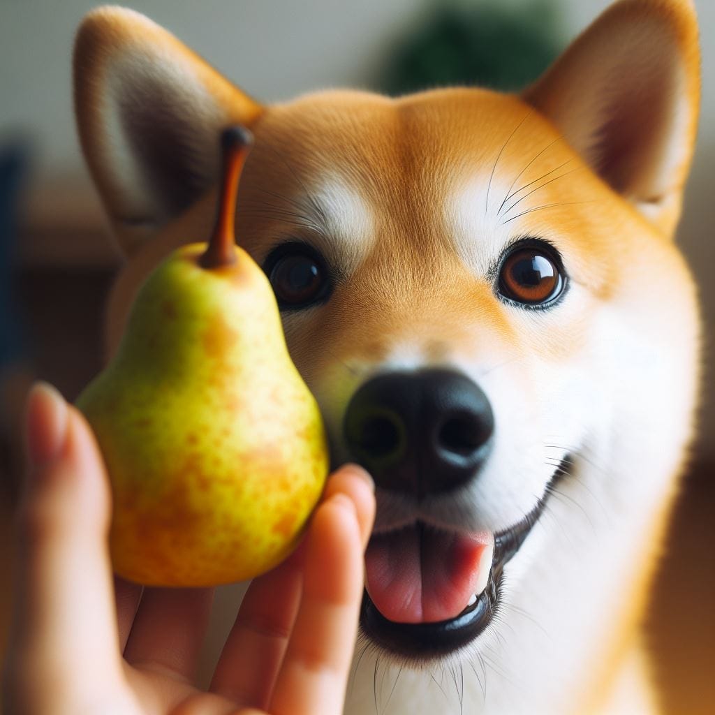 Can dogs eat Pears?