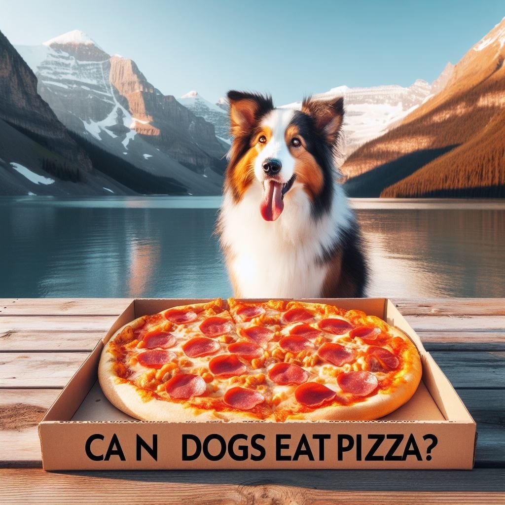 Benefits of Pizza for Dogs